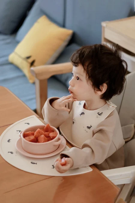 Silicone Whale Placemat With Bib
